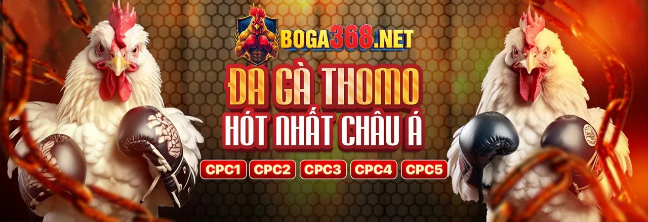 Đá gà kịch tính tại mig88 link mới